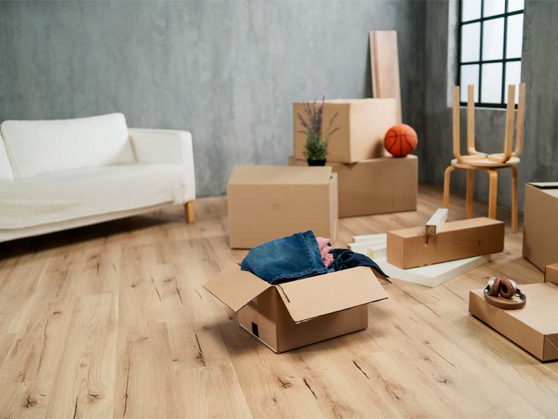 best Florida moving companies